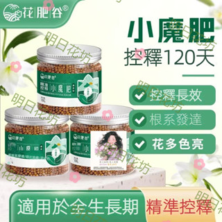 明日花坊 園藝花卉100g 綠植 種花 蔬菜 綠蘿 通用 園藝花卉植物通用