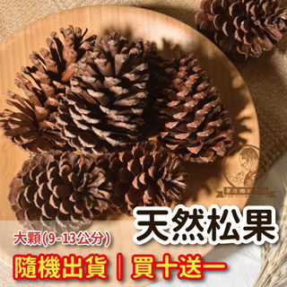 【華哥雕刻工坊】天然乾燥松果｜大顆｜隨機出貨｜9-13公分｜買十送一｜天然原果、果實、種子｜手作ＤＩＹ材料｜居家佈置