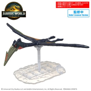 (BANDAI )預購25年9月 代理版 組裝模型 侏羅紀世界 JURASSIC WORLD 風神翼龍(酷比樂)
