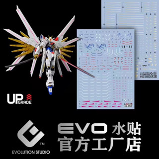 現貨 EVO 機動戰士鋼彈SEED FREEDOM HG 全能攻擊自由鋼彈 HG250