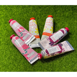❤️限量L’OCCITANE 歐舒丹護手霜系列 牡丹/桂花/玫瑰/亞爾緞帶/乳油木/果漾馬鞭草/萊姆/復刻版科西嘉