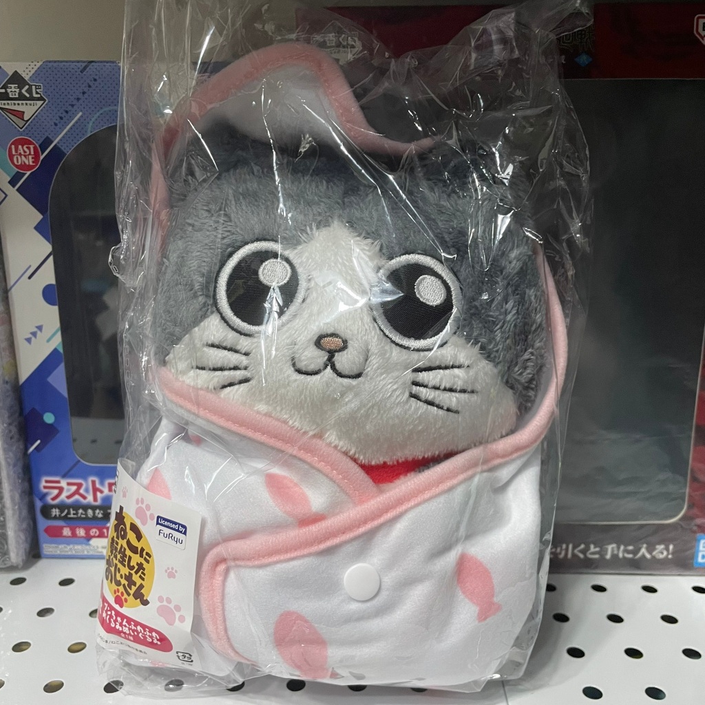 【班尼小棧】日版現貨 轉生成貓的大叔 一番賞 TAITO賞 全新A賞 貓咪 抱枕 娃娃