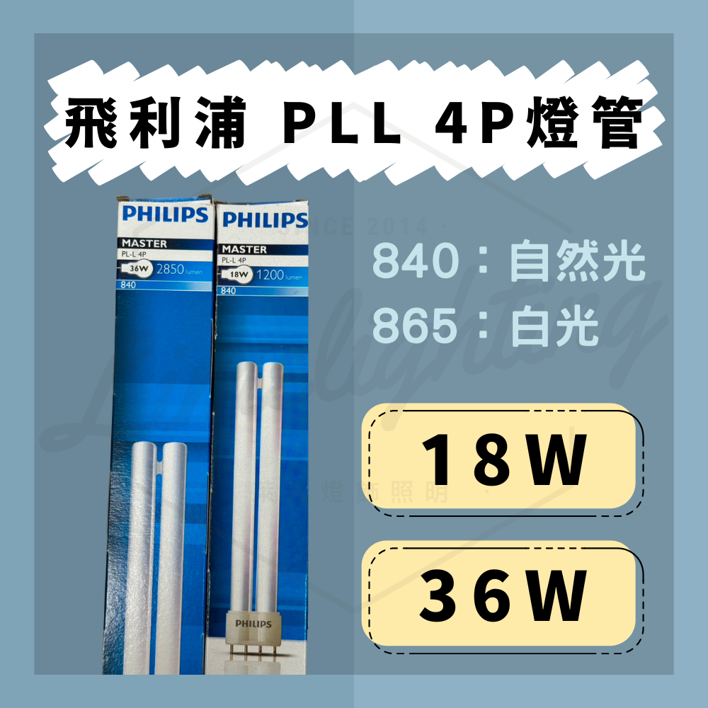 PHILIPS 飛利浦 PL-L 4P 18W 36W 865 840 燈管