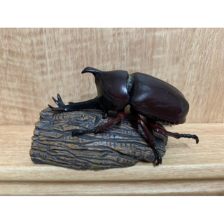 絕版 2005年 大和兜蟲 模型 公仔 甲蟲 立體圖鑑 教學模型 生物大圖鑑 擺件 擺設 裝飾品 收藏品 獨角仙
