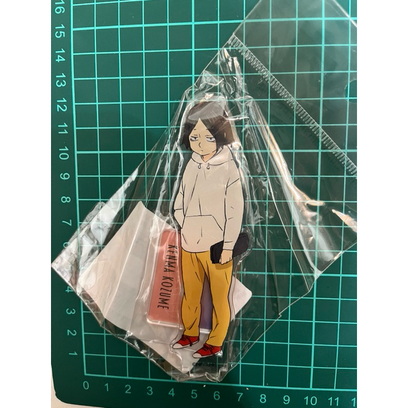 排球少年 孤爪研磨 立牌 孤爪研磨 幼年期 立牌