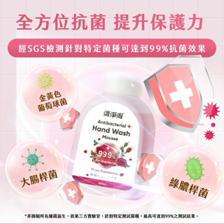 清淨海 玫瑰抗菌洗手慕斯 480ml 大馬士革玫瑰香氣