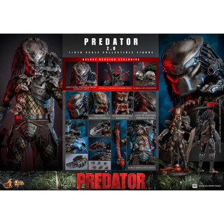 頑聚同樂會 預購 HOTTOYS MMS817 終極戰士 終極戰士2.0 豪華版 Predator 生日禮 交換禮 正版