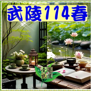 114年『武陵春茶』特價一斤2500~優惠三斤5000元（壺說茶道）大禹嶺 梨山 杉林溪 阿里山 高山茶 烏龍茶