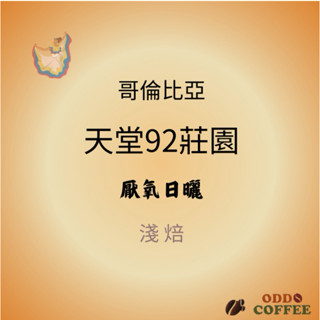怪豆咖啡 咖啡豆［哥倫比亞．天堂92莊園．粉紅波旁 雙重厭氧 1/4磅115g］精品咖啡 手沖咖啡 自家烘焙 單品咖啡