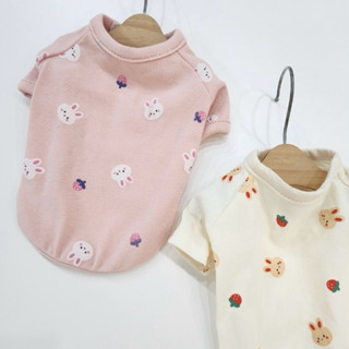 OOPET ♡ 現貨｜韓國 草莓兔兔純棉上衣 S-XL｜韓國品牌 韓國寵物服飾 寵物衣服 狗狗衣服 貓咪衣服