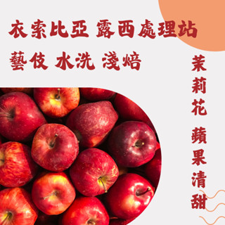 仙人指路咖啡 美加澳華人歸國伴手禮 [衣索比亞 露西處理站 藝伎 水洗] 淺焙 半磅