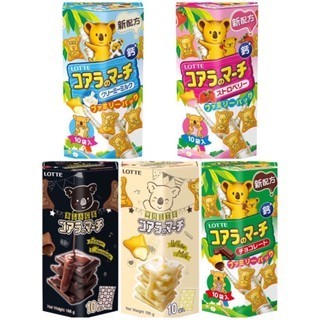 《省錢叔叔二館》LOTTE 樂天小熊餅37g 共有巧克力風味、草莓風味、牛奶風味、練乳風味、濃黑巧克力風味任選29元