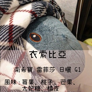 【Serious Coffee】衣索比亞 南希寶 雷菲莎 日曬 G1 精品自烘咖啡 手沖/義式 咖啡豆