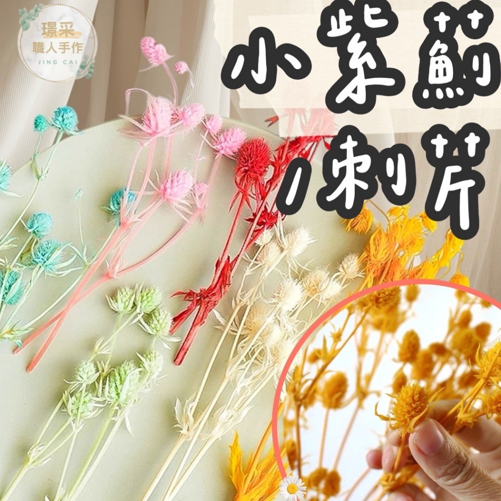 【璟采職人】60g永生小紫薊 刺芹 紫薊 情人果 乾燥花 乾燥果實 不凋花 永生花 居家佈置 乾燥花材 仿真花 捧花