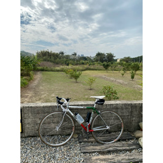 Gios Super Record 經典鋼管車 義大利製車架