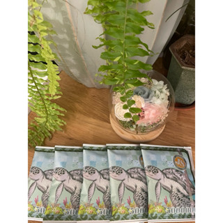 【實食】新鮮製作 義式咖啡 美式咖啡 濾掛咖啡 耳掛咖啡 手工咖啡 義式咖啡 防彈咖啡