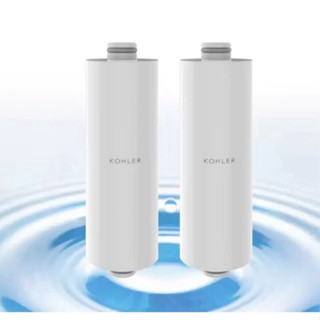 👍 6.6大順日活動👍 全新濾芯 科勒 kohler exhale 沐浴軟水濾芯 r75751t-na 敏感皮膚救星
