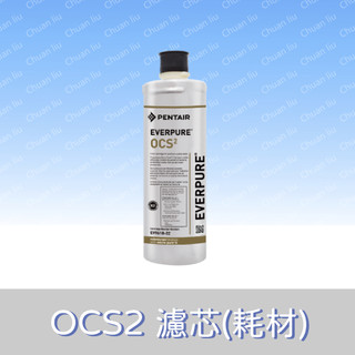 ★川流淨水★EVERPURE 愛惠浦OCS²濾心(耗材) OCS2 ~ 附發票