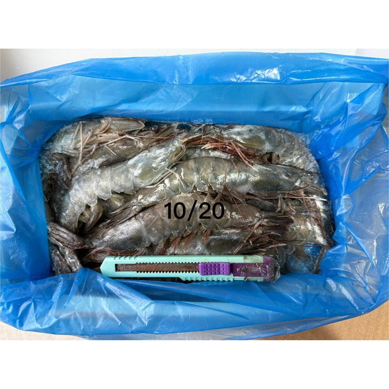 趙生鮮｜白蝦20/30、30/40、50/60全規格白蝦歡迎批發聊聊/厄瓜多/巴拿馬