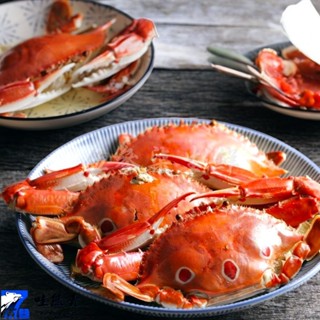 【537生鮮水產】現貨999免運 鮮凍三點蟹(150-200g/隻) 母蟹有蛋 活凍有蛋母三點蟹 火鍋 清蒸 熱炒