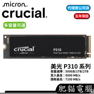 Micron美光 Crucial P310 500G 1TB 2TB M.2 2280 支援PS5 SSD 固態硬碟