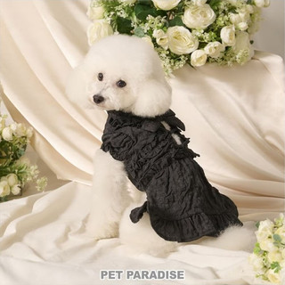 【PET PARADISE】荷葉邊緞帶鏤空洋裝/黑色 (SS)｜cherircouture 2025全新春裝 質感洋裝