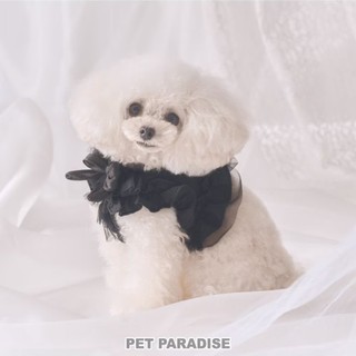 【PET PARADISE】荷葉邊網紗寵物外出胸背/黑 (S)｜cherircouture 2025春裝新款 高級面料