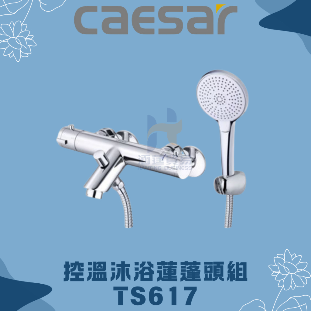 凱撒 CAESAR TS617 控溫沐浴龍頭組 沐浴龍頭 蓮蓬頭