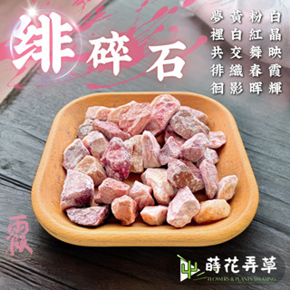 發票現貨~緋碎石(500g、1kg)粉碎石 粉色 天然石頭 鋪面裝飾 裝飾石 水族 多肉植物鋪面 景觀 園藝 盆栽