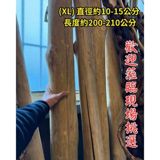 【自然屋精品】樹枝 居家擺設 柚木樹枝 大樹枝 剝皮大樹幹 天然柚木 木料 咖啡廳 裝潢 裝飾 天然樹枝 鸚鵡樹枝棲木