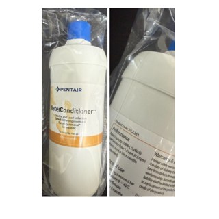 諾得淨水 24.2.351 高碘值 活性碳 除鉛型 廚下 濾芯 廚房 淨水器 濾心 PENTAIR 淨水