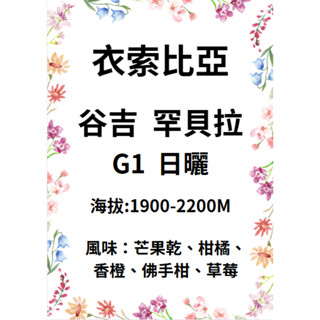 【環群咖啡生豆】B03 衣索比亞 谷吉 罕貝拉 G1 日曬 咖啡生豆 生豆 咖啡濾紙 濾掛式咖啡 咖啡壺