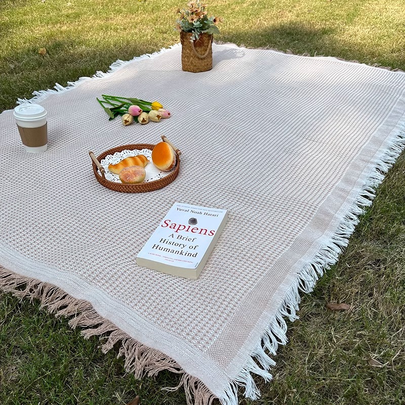 【台灣現貨】戶外露營通用加厚雙面野餐布 桌布 網紅拍照墊子 野餐墊 露營地墊 沙灘墊 遊戲墊 戶外郊遊必備