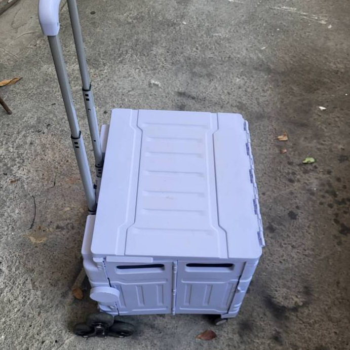 二手  9成新  買菜車 摺疊推車 購物車 萬用折疊收納車 爬梯推車 收納車   75L