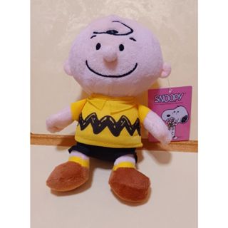 全新正版現貨💖💖💖查理布朗玩偶~6吋~SNOOPY查理布朗玩偶娃娃~全省配送 禮物 商品檢驗標識