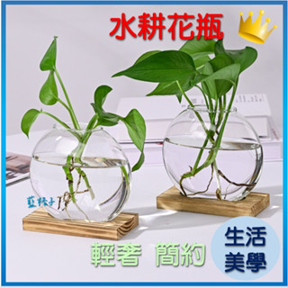 臺灣現貨✨B143 超美北歐風水耕瓶 水耕容器 水耕花器 玻璃瓶 花瓶 花器 魚菜共生 水耕植物 盆栽 水耕空瓶