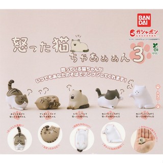 憤怒的貓 P3 扭蛋 轉蛋 公仔 氣死貓了 生氣的貓 黑白貓 白貓 動物模型 BANDAI 萬代 日本正版【現貨】