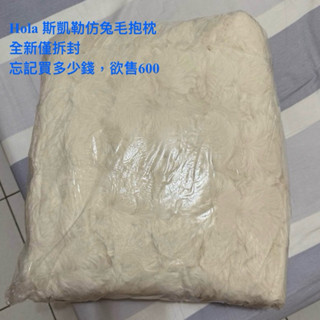 💫全新💫Hola 斯凱勒仿兔毛抱枕 全新僅拆