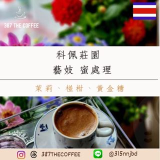 【387 The Coffee】✨市場獨有✨濾掛式咖啡包｜哥斯大黎加｜科佩莊園｜藝伎｜蜜處理｜淺度烘焙