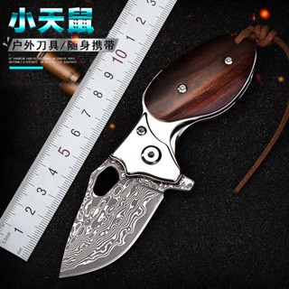 免運 VG10大馬士革鋼 多功能小刀 登山 便攜式 摺疊刀 家用 水果刀 露營刀 開箱 木柄 精美禮品 EDC野餐 烤肉