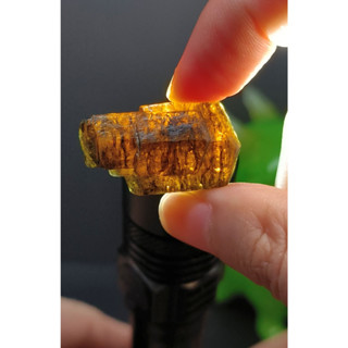 【蛙蛙礦】尼泊爾-黑金碧璽（1號）🐸 重量：16 g 尺寸：約3.1*1.6*1.8 CM 邀請價：$ 440 NT