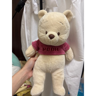 早期 絕版 特殊色 毛巾材質 Winnie the Pooh 小熊維尼 沙包 顆粒 荳荳 娃娃 玩偶 布偶 二手 絨毛