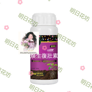 明日花坊 植物 花卉 綠植 通用 多肉 園藝花卉 130ml