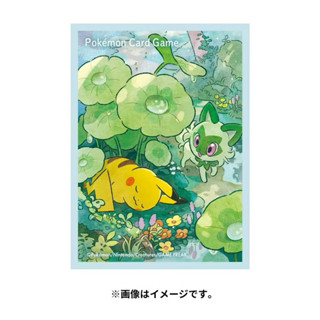 寶可夢 PTCG 日版 中心限定 皮卡丘 新葉喵 卡套 牌套 造型卡套 第二層
