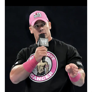 [美國瘋潮擺件熱賣中] 衣服套裝 WWE 摔跤手場景 摔跤手模型 WWE擺件 摔跤手手辦 T恤手辦 模型 AEW 週邊