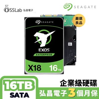 【OSSLab】SEAGATE EXOS X18 16TB SATA ST16000NM000J 企業級硬碟健康度一百