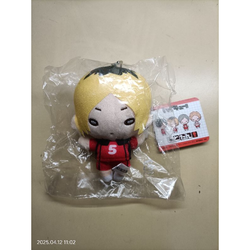 ［北］<全新>排球少年 研磨豆眼娃 研磨隊服豆眼 豆豆眼娃 研磨豆眼