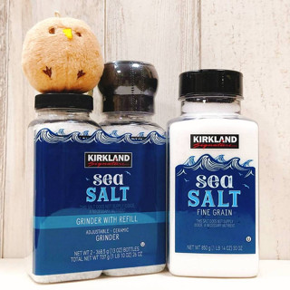 COSTCO 好市多 科克蘭 純海鹽 海鹽 Sea Salt 鹽巴 補充瓶 研磨 粗粒 研磨純海鹽 850克 737克
