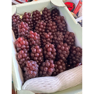 ［ME’日本精品水果］🌟新品現貨✈️日本空運｜山梨、島根縣產·珍珠葡萄🍇｜迷你無籽葡萄·日本溫室水果｜單盒重約1、2公斤