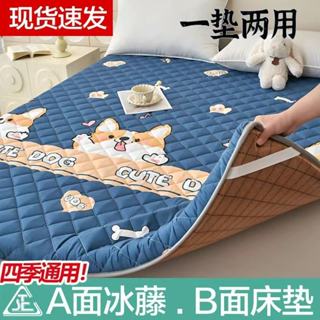 💥臺灣熱銷💥 新款單人床日式榻榻米藤席雙用床墊 藤席雙用床墊 榻榻米床墊 單人加大床墊 學生床墊 折疊床墊 雙面藤席床墊